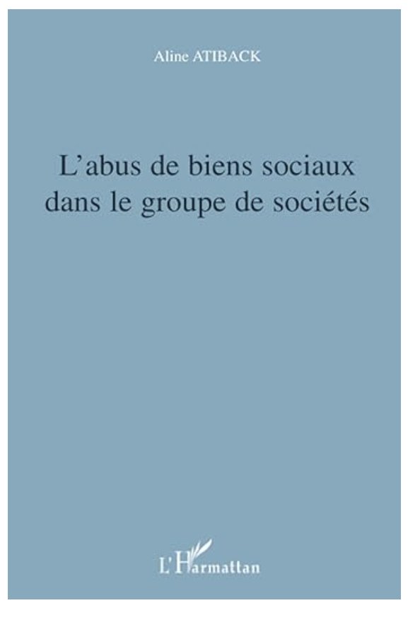 L'abus de biens sociaux dans le groupe de sociétés